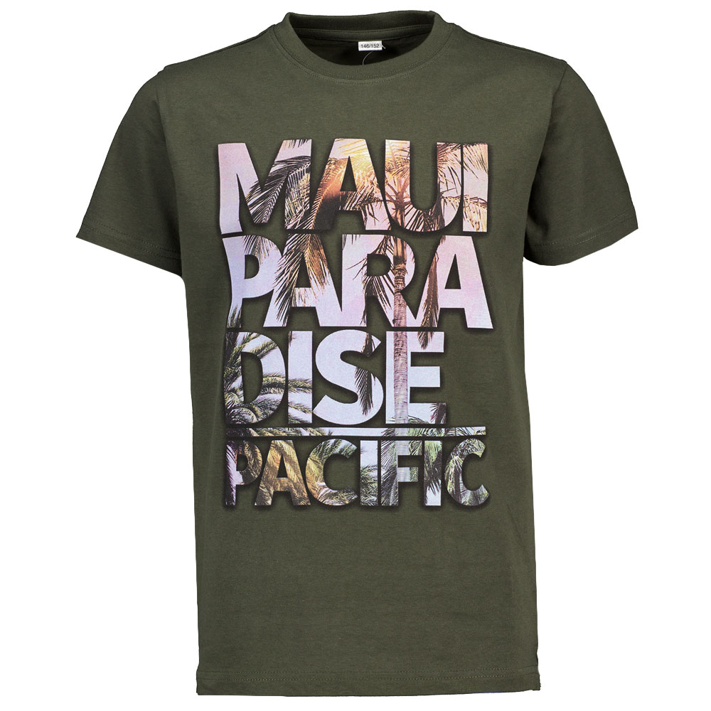 Tee-shirt - Vert 1 9895-tee-shirt-vert-1.jpg